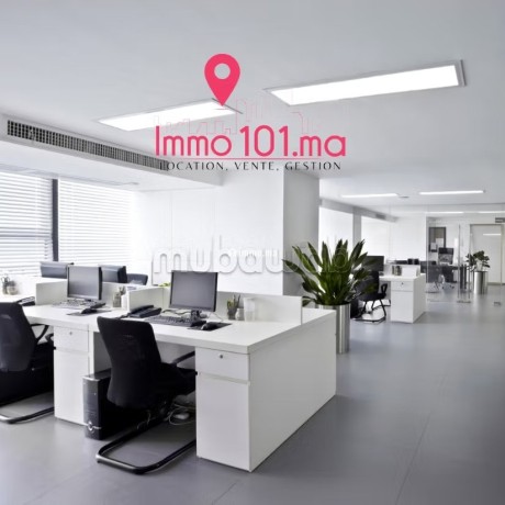 location-villa-usage-bureau-a-hay-riad-big-0