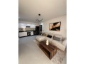 Magnifique appartement 55 m2 a victor hugo - miniature 4