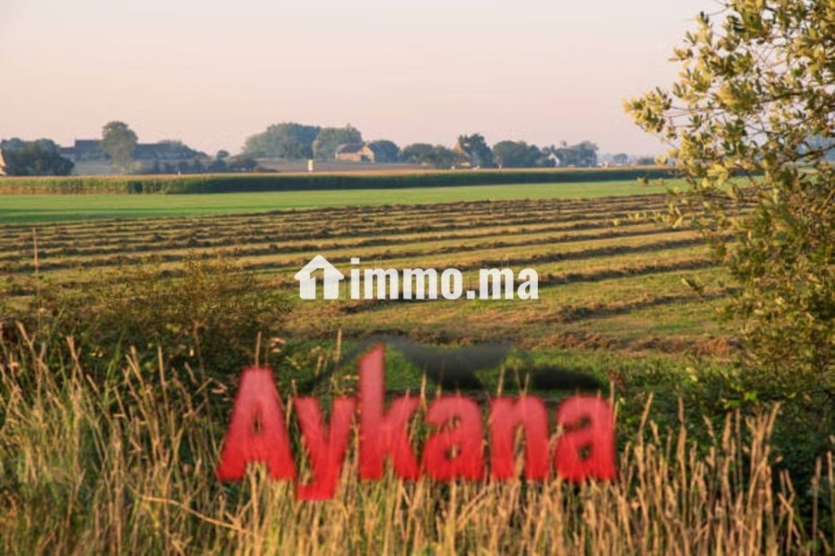 Vente terrain agricole exclusif rommani ref 4185 - Vente Immobilier - Autre - photo 1