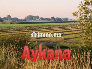 Vente terrain agricole exclusif rommani ref 4185 - Terrain à vendre - Autre