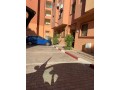 Appartement à Marrakech gueliz 2 - miniature 1