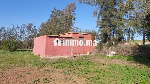 Ferme titrée 6ha Sehoul Salé - Vente Immobilier - Sale - photo 5