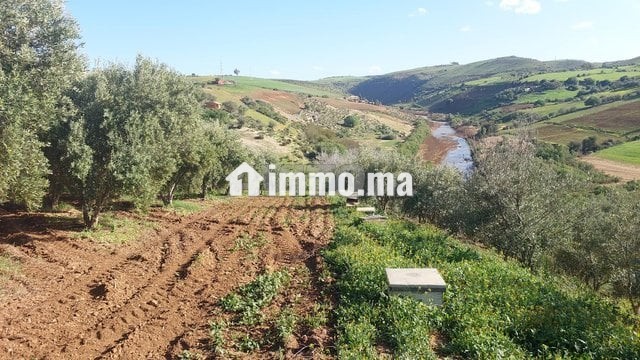 Ferme titrée 6ha Sehoul Salé - Vente Immobilier - Sale - photo 6
