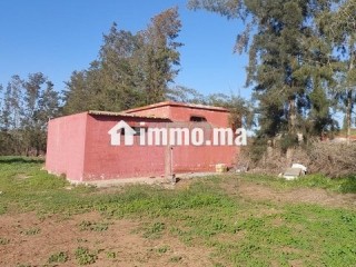 Ferme titrée 6ha Sehoul Salé - Terrain à vendre - Sale