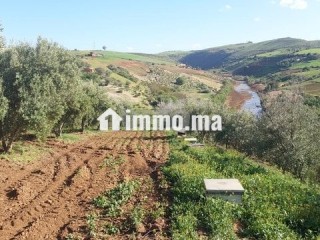 Ferme titrée 6ha Sehoul Salé - Terrain à vendre - Sale