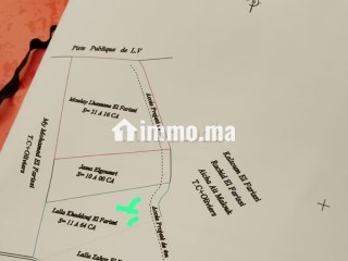 Terrain à vendre à Ghmate. Surface de 1156 m² - Terrain à vendre - Autre