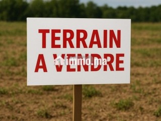 2 Terrains à vendre - Terrain à vendre - Casablanca