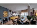 Duplex 337 m² 4 chambres terrasses Sud - miniature 3