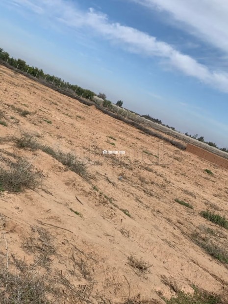 Ferme Agricole à Vendre – Marrakech - Vente Immobilier - Autre - photo 2