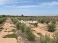 Ferme Agricole à Vendre – Marrakech - miniature 1