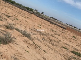 Ferme Agricole à Vendre – Marrakech - Terrain à vendre - Autre