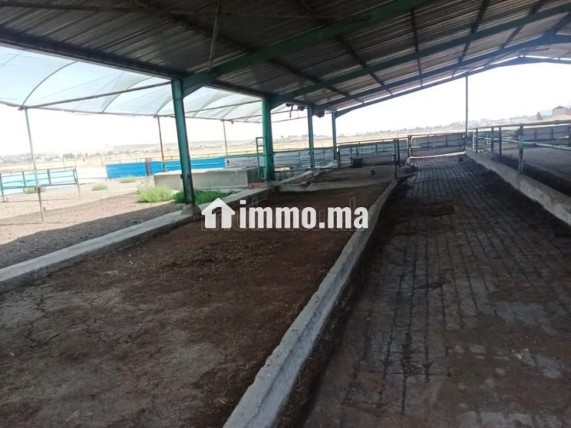 Ferme Agricole à Vendre 27 Hectares - Vente Immobilier - Autre - photo 1