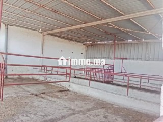 Ferme Agricole à Vendre 27 Hectares - Terrain à vendre - Autre