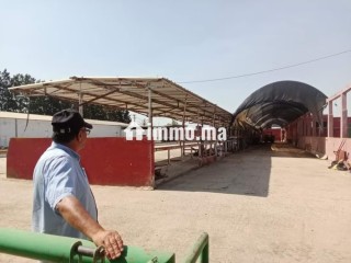 Ferme Agricole à Vendre 27 Hectares - Terrain à vendre - Autre