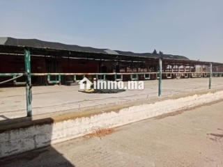 Ferme Agricole à Vendre 27 Hectares - Terrain à vendre - Autre
