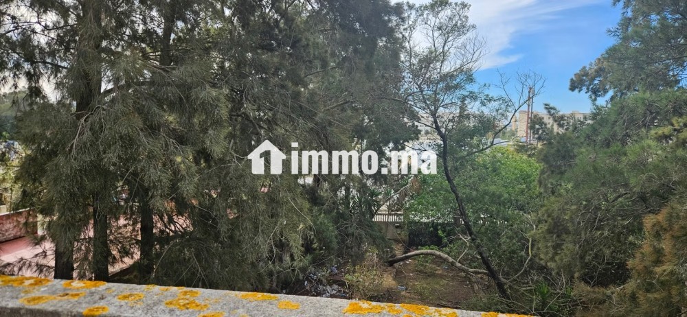 Magnifique villa à vendre à Mghayer. 8 pièces. Jardin et terrasse - Vente Immobilier - Tanger - photo 1