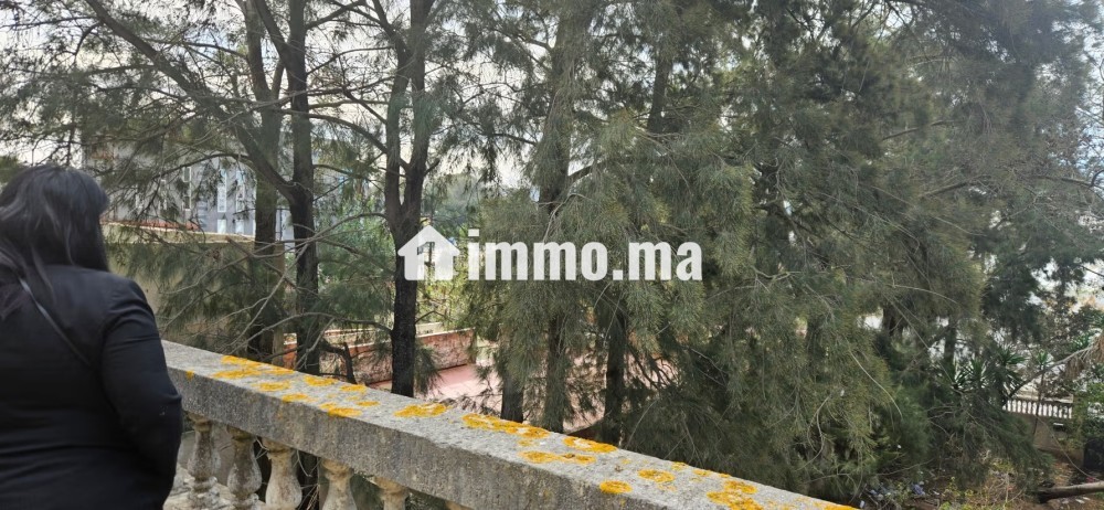 Magnifique villa à vendre à Mghayer. 8 pièces. Jardin et terrasse - Vente Immobilier - Tanger - photo 3