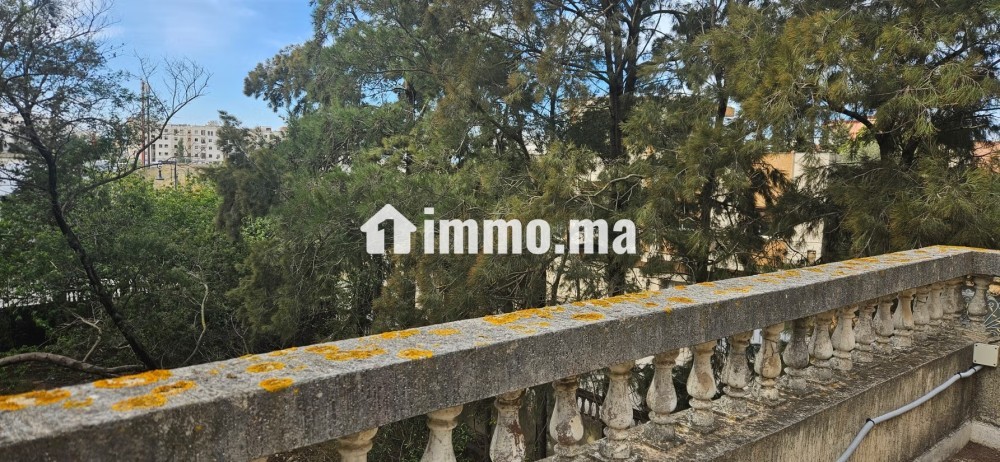 Magnifique villa à vendre à Mghayer. 8 pièces. Jardin et terrasse - Vente Immobilier - Tanger - photo 6