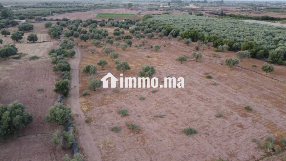 Maison autonome 140 m² terrain 3500m² - Vente Immobilier - Marrakech - photo 4