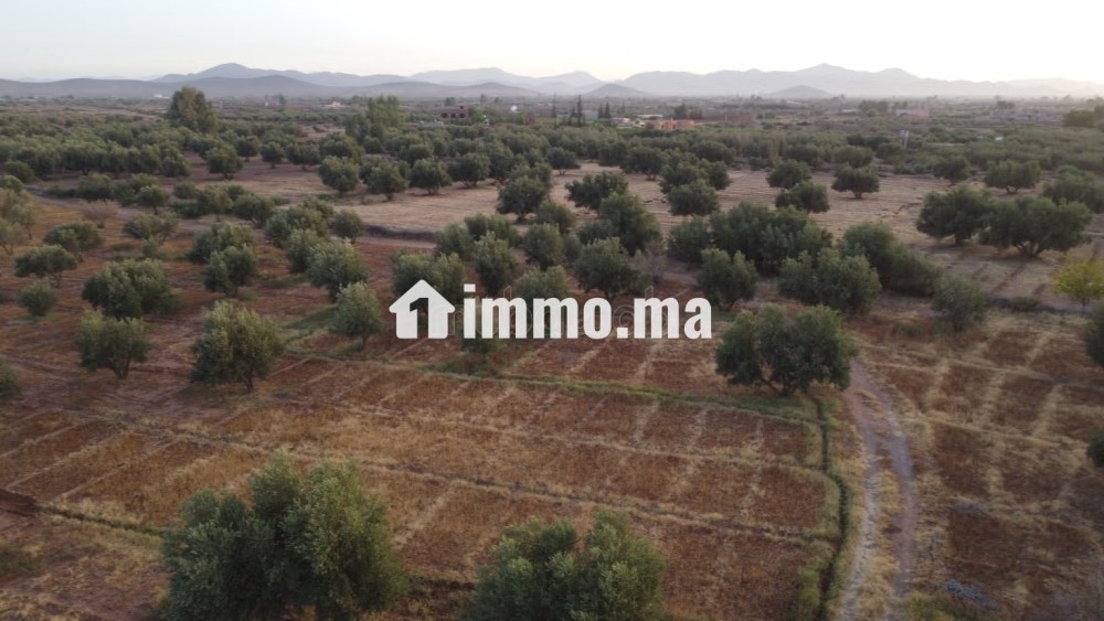 Maison autonome 140 m² terrain 3500m² - Vente Immobilier - Marrakech - photo 5