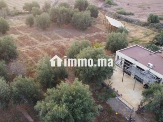 Maison autonome 140 m² terrain 3500m² - Maison à vendre - Marrakech
