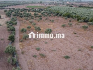 Maison autonome 140 m² terrain 3500m² - Maison à vendre - Marrakech