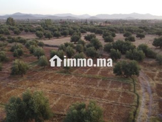 Maison autonome 140 m² terrain 3500m² - Maison à vendre - Marrakech
