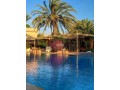 Palmeraie 2 – Appartement 3 chambres 144 m² - miniature 1