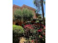 Palmeraie 2 – Appartement 3 chambres 144 m² - miniature 2