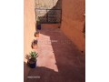 Douiria for Rent – Zaouia Abassia,
Marrakech - miniature 8