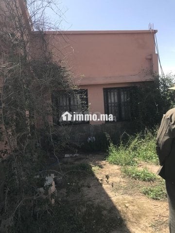 Un hectare avec maison à vendre - Vente Immobilier - Marrakech - photo 3