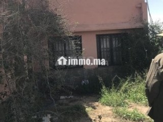 Un hectare avec maison à vendre - Terrain à vendre - Marrakech