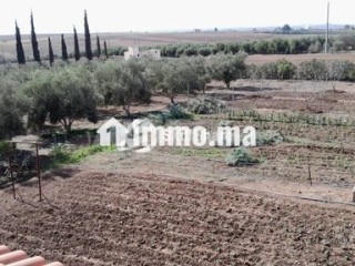 Belle Ferme sur 9700m² à vendre Bougargouh Settat - Terrain à vendre - Settat