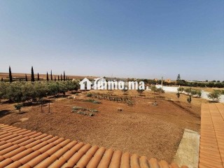 Belle Ferme sur 9700m² à vendre Bougargouh Settat - Terrain à vendre - Settat