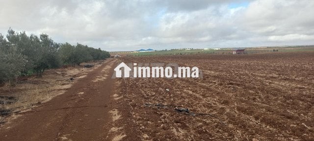 1 hectare et demi titré prix bas - Vente Immobilier - Meknes - photo 2