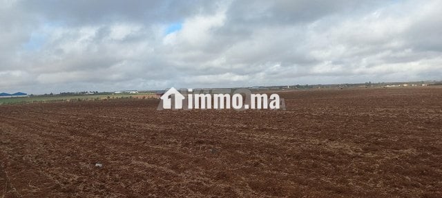 1 hectare et demi titré prix bas - Vente Immobilier - Meknes - photo 3
