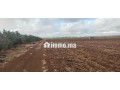 1 hectare et demi titré prix bas - miniature 2