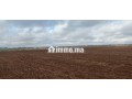 1 hectare et demi titré prix bas - miniature 3