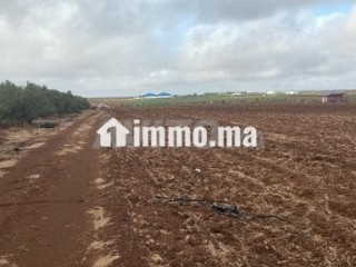 1 hectare et demi titré prix bas - Terrain à vendre - Meknes