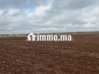 1 hectare et demi titré prix bas - Terrain à vendre - Meknes