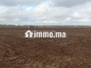 1 hectare et demi titré prix bas - Terrain à vendre - Meknes