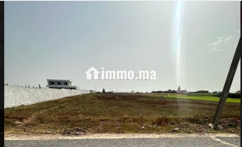 Vente terrain 1ha mssouar rassou - Vente Immobilier - El Jadida - photo 1