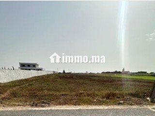 Vente terrain 1ha mssouar rassou - Terrain à vendre - El Jadida