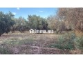Terrain 2 Hectares et demi, Route Ourika - miniature 2