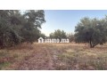 Terrain 2 Hectares et demi, Route Ourika - miniature 3