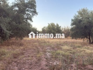 Terrain 2 Hectares et demi, Route Ourika - Terrain à vendre - Marrakech