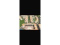 Projet Touristique à vendre Tanger - miniature 2