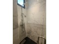 appartement-4-chambres-renove-neuf-gauthier-small-12