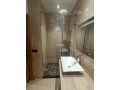 appartement-4-chambres-renove-neuf-gauthier-small-13
