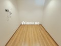 appartement-4-chambres-renove-neuf-gauthier-small-15